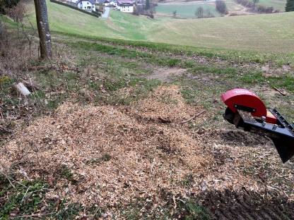 Bild 4:Biete Steilflächen-Mulcharbeiten und Baumstumpf-Fräsen Köppl Crawler
