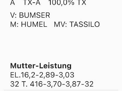 Bild 4:Bio Tuxer Kalbin