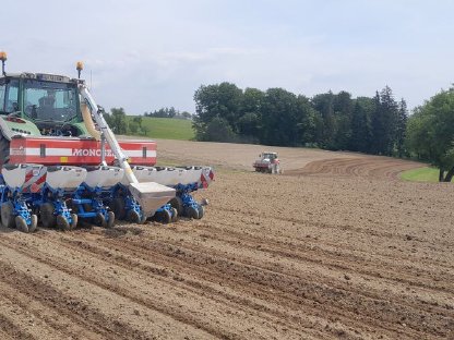 Bild 4:Einzelkornsaat Monosem Valoterra