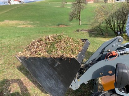 Bild 3:Benzin-Gartenhäcksler Rambo HC 10Pro