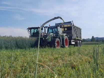 Bild 6:Grünlandernte