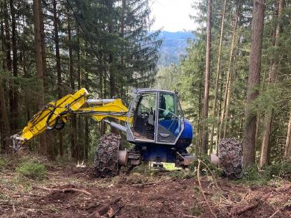 Bild 5:Schreitbagger Steiermark