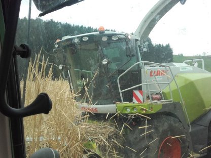 Bild 9:Miscanthus Ernte