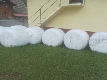 7 Bio-Siloballen, 1. Schnitt