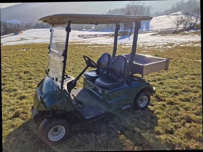 Golf Cart Yamaha