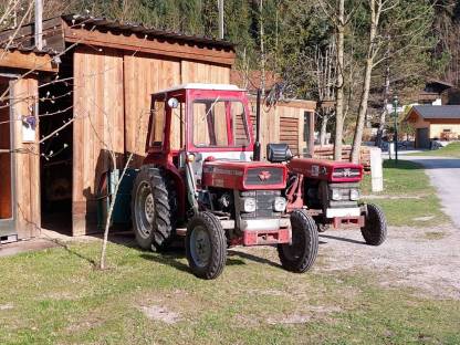 Bild 3:Massey Ferguson MF 135 MK 3 mit hydr. Kippmulde