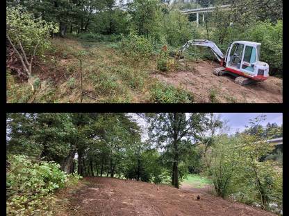 Bild 2:Erdbewegung und Holzschlägerung