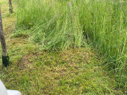 Bild 3:Grünflächenpflege Grünraumpflege Mäharbeiten