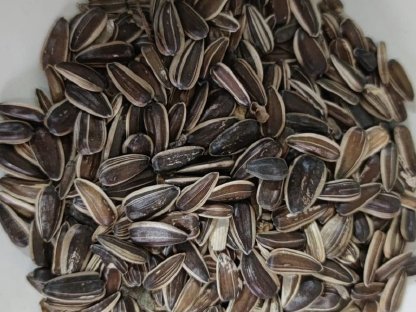 Bild 3:Getreidebürste, Bürstmaschine, Poliermaschine zu verkaufen