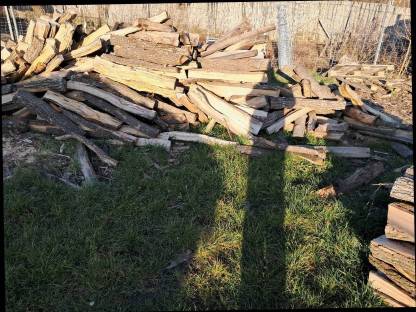 Bild 3:Brennholz