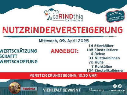 Bild 2:Einsteller Nutzrinder