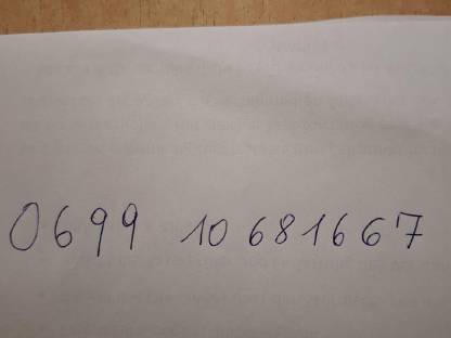 Bild 8:Steyr 290 mit Frontlader