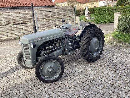 Bild 3:Oldtimer FERGUSON Traktor TEF