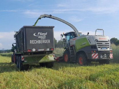 Bild 9:Grünlandernte