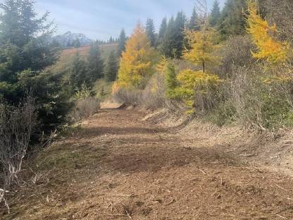 Bild 2:Mulcharbeiten aller Art