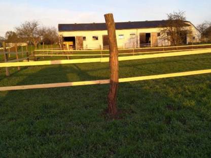 Landwirtschaft