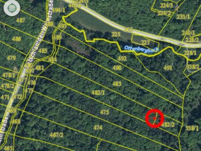 Bild 3:Waldgrundstück Bezirk Leibnitz-Ratsch a.d. Weinstraße 1,7 ha
