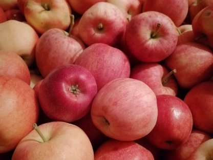 Bild 2:Apfelsaft klar/naturtrüb