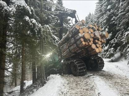Bild 7:Biete Holzschlägerung/Durchforstung