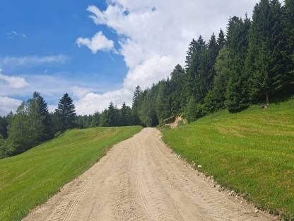 Bild 6:Wegsanierung und Wegepflege