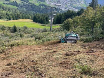 Bild 3:Mulcharbeiten aller Art