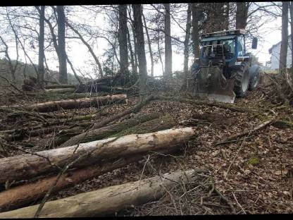 Bild 7:Erdbewegung und Holzschlägerung