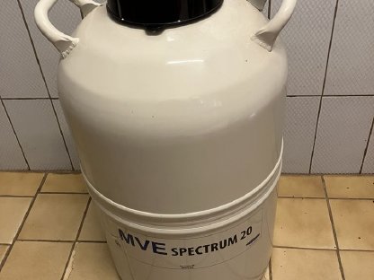 Bild 3:Stickstoffcontainer MVE Spectrum 20
