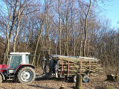 Bild 2:Landschaftspflege - Forstdienstleistungen 