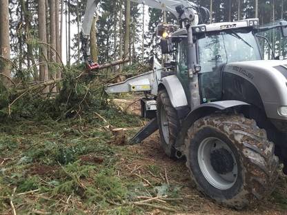 Bild 4:Hackguterzeugung