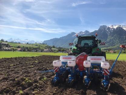 Bild 2:Einzelkornsaat Mais als Lohnarbeit Region Thun /Bern