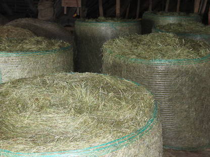 Bild 3:Heu in Rund- und Kleinballen