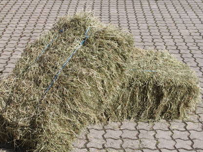Bild 2:Heu in Rund- und Kleinballen