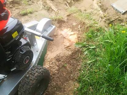 Bild 2:Baumstumpffräsen