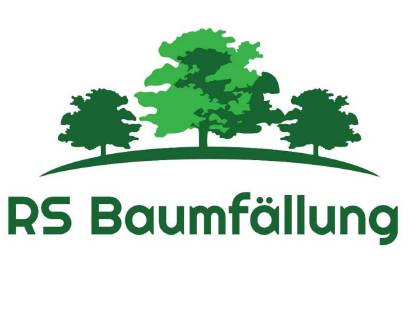 Bild 2:RS Baumfällung