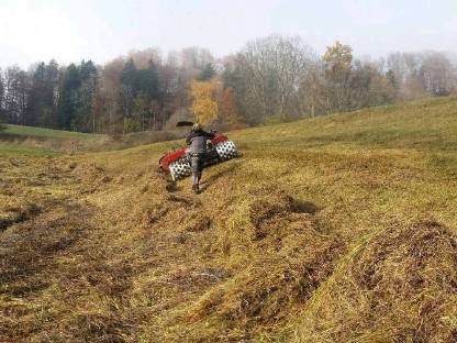 Bild 2:Mahd von Extensivflächen, Sonderstandorte!