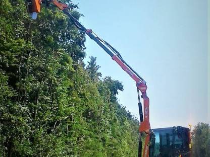 Bild 3:Mulcharbeiten - Forstmulcharbeiten