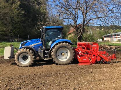 Bild 2:Übernehme Aussaat