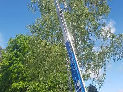 Bild 4:Wurzelstockfräsen, Baumabtragung, Maschinenverleih