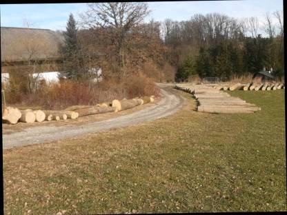 Bild 4:Forstlichen Dienstleistungen