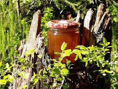 Bild 2:Verschiedene Sirupe