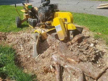 Bild 3:Wurzelstockfräsen, Baumabtragung, Maschinenverleih