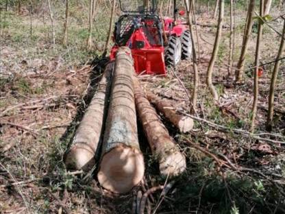 Bild 2:Rückearbeiten