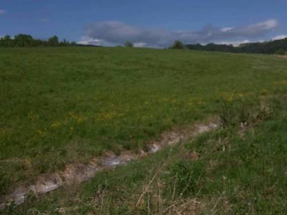 Haus Luckenwalde  Husergesuche In Wggesucht De