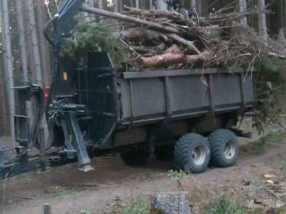 Bild 3:Biete Holzschlägerung und -bringung !