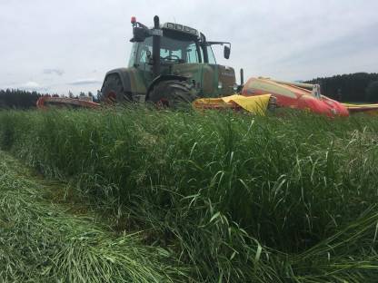 Bild 3:Wangar Agrar - Agradienstleistungen-Transporte