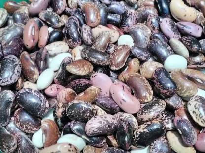 Bild 4:Kürbiskernöl