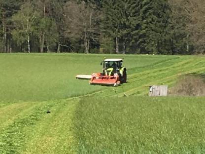 Bild 2:Wiesen mähen,Selieren , Wenden , Schwaden , Transport arbeit