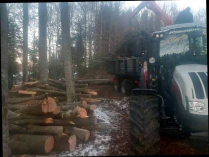 Bild 2:Forstlichen Dienstleistungen