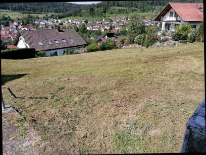 Bild 3:Lohn Mulch Arbeit