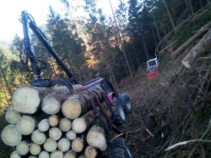 Bild 2:Biete Holzschlägerung und -bringung !